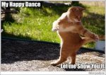 happy cat.jpg