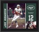 Joe Namath Plaque.jpg