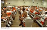 prison.jpg