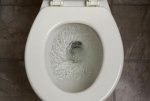 toilet_flushing_5.jpg