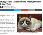 grumpy cat.jpg