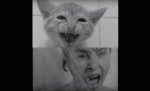 Psycho-Kitties.jpg