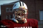 catfootball.jpg