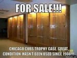 Cubs case.jpg