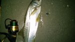 IMG_20160525_055213004.jpg