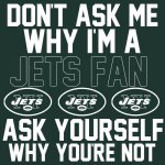 Jets Fan.jpg