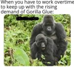 602bca3c228e0.jpeg 602bca3c228e0.jpeg
