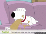 1619111931192.gif