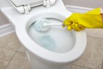 toilet-bowl.jpg