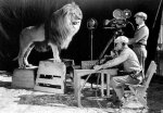 MGM Lion.jpg MGM Lion.jpg