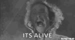 9B55FD8F-1063-4896-A1BC-DB1418CDA6CD.gif