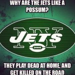 Jets possum.jpg
