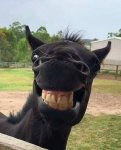 Smile it's contiguous 😁😁.jpg