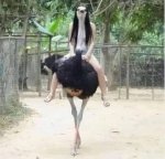 ostrich wife.jpg
