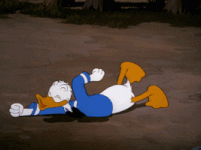 1651096801096.gif