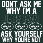 Jets Fan.jpg