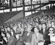 Baseball fan fifties.jpg