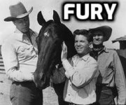 Fury.jpg