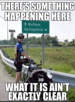 Buffalo.jpg