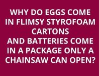 Eggs.jpg
