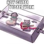 cat guitar pedals.jpg