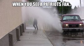 Pats fan.jpg