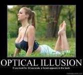 Optical illusion.jpg