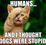 Humans.jpg