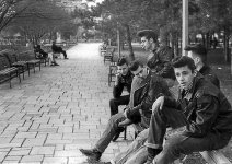 Punks2.jpg