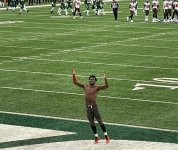 Brown At Jets.jpg