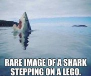 Shark Lego.jpg