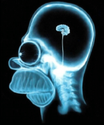 1685322535194.png