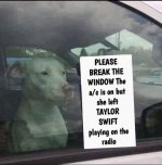 Taylor Swift.jpg