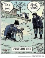 canadianCSI.jpg