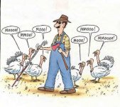 Turkey Moo.jpg