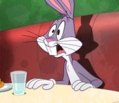 Huh Bugs.jpg