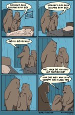 3 bears.jpeg