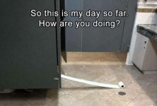 My day.jpg
