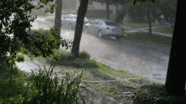 giphy rain.gif