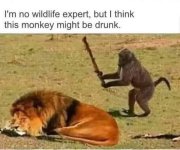 Wildlife.jpg