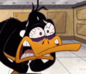 1758928082335.gif