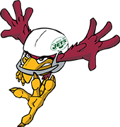jetsfansunited.com